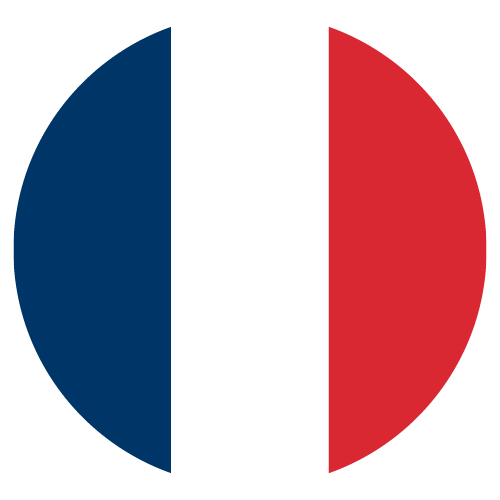 Bandiera Lingua Francese